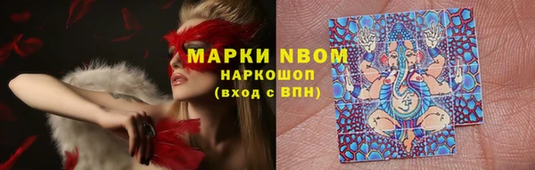 трава Абаза