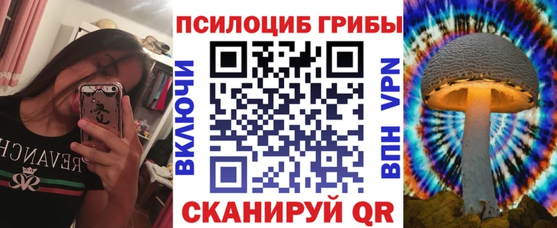 blacksprut онион  как найти закладки  Подпорожье  Псилоцибиновые грибы Cubensis 